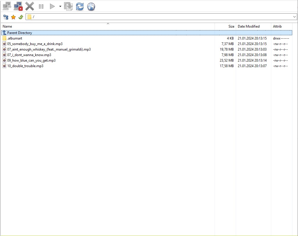 AzuraCast Sucessfull SFTP Connection